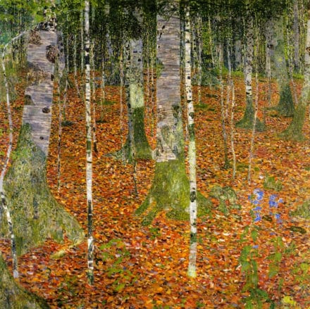 Birch Forest 1 (1903) by Gustav Klimt