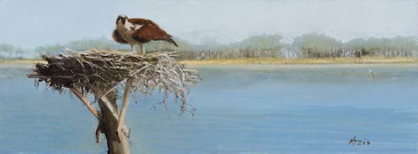 Blue Osprey by Donna Lee Nyzio