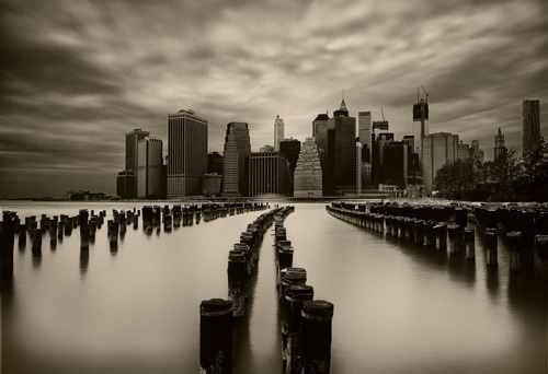 Brooklyn Bridge Park, © 2019 Sandra Canning Photography