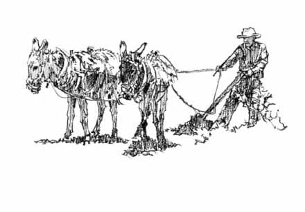 Man Plowing, by Clark Hulings