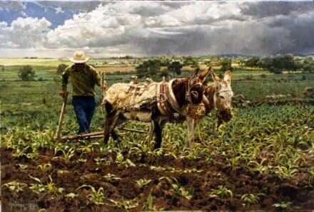 The Mexican Ploughman, by Clark Hulings