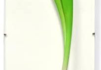April Spoon by Kristin Levier