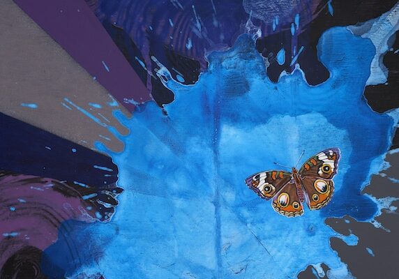 Buckeye Butterfly by Kara Maria