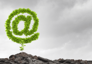 organic email list growth