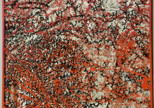 Field Study, Red and Black Algorithm by Blake Conroy (1)