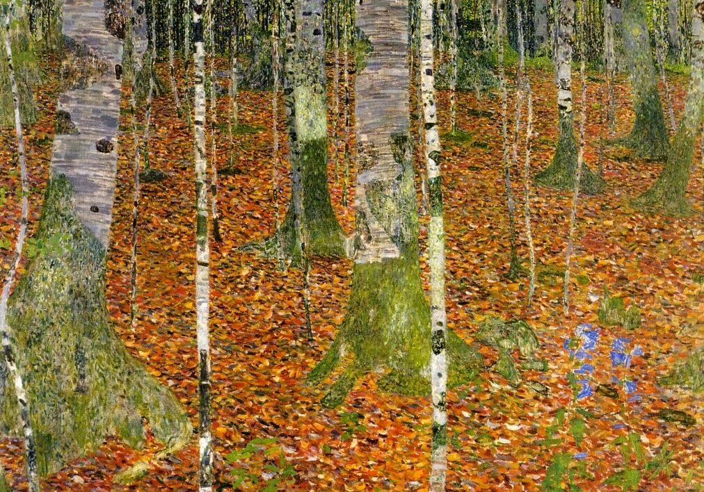 Birch Forest 1 (1903) by Gustav Klimt
