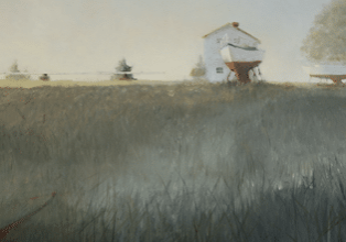 Sea of Grass - Donna Lee Nyzio