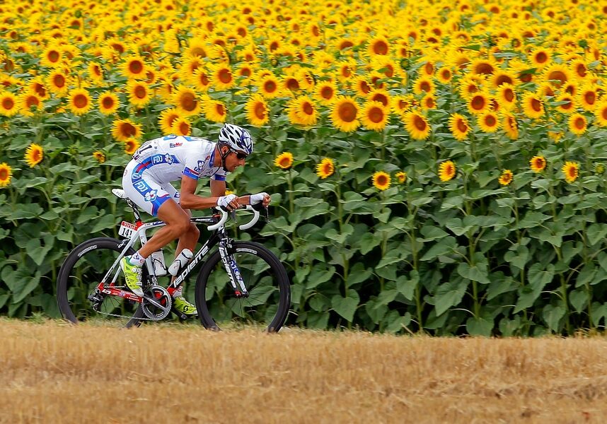 BLAGNAC, FRANCE - JULY 20:  Sandy Casar of France riding for FDJ-Big Mat makes an attack as he passes through a field of sunflowers during stage eighteen of the 2012 Tour de France from Blagnac to Brive-la-Gaillarde on July 20, 2012 in Blagnac, France.  (Photo by Doug Pensinger/Getty Images)